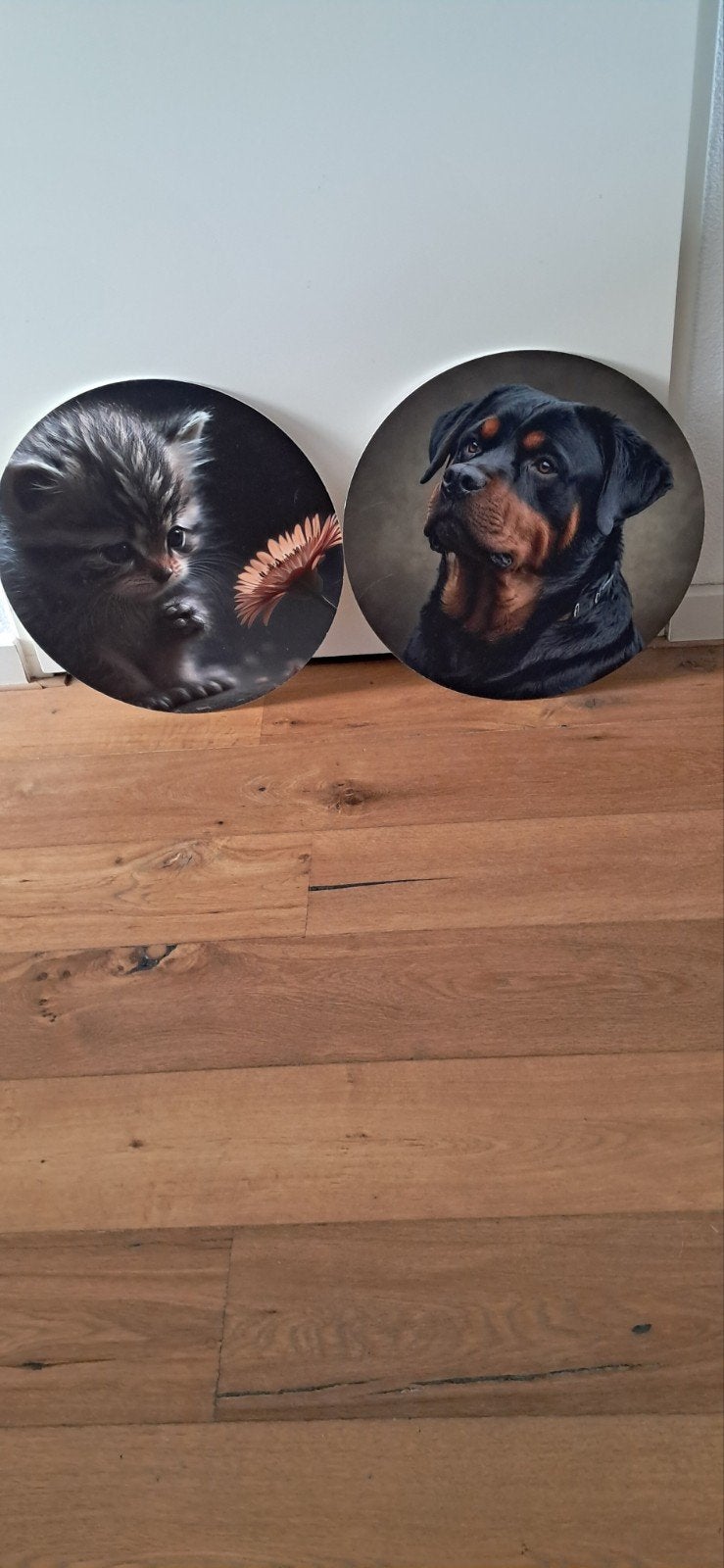 Deco Set Wanddecoratie:, Ophalen of Verzenden, Nieuw