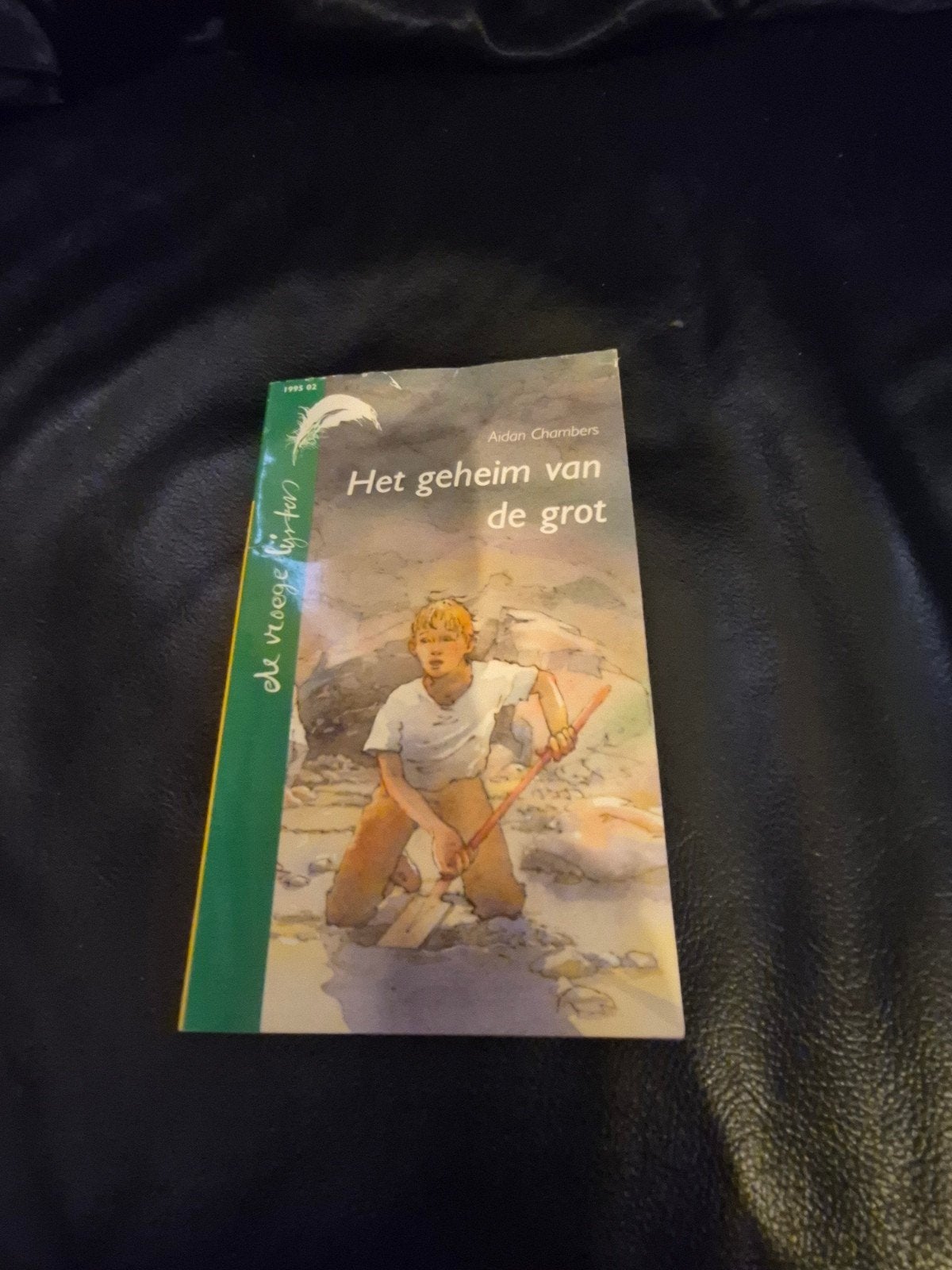 Het geheim van de grot - Aidan Chambers (Jeugdboek), Boeken, Ophalen of Verzenden, Gelezen, Aidan Chambers, Fictie