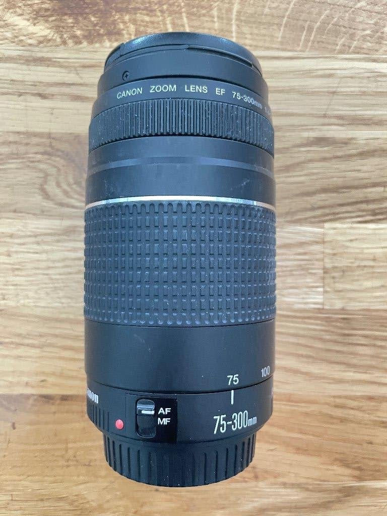 Canon EF 75-300mm f/4-5.6 III, Gebruikt, Canon, Zoom, 300 mm