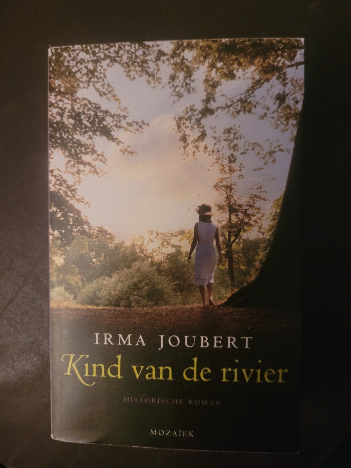 Irma Joubert - Kind van de rivier, Ophalen of Verzenden, Zo goed als nieuw, Irma Joubert