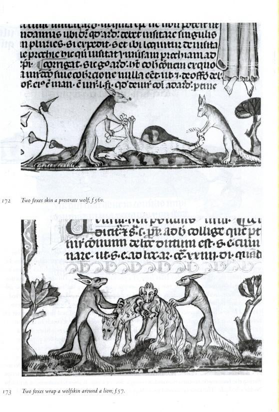 Varty, Kenneth - Reynard, Renart, Reinaert (1999), Ophalen of Verzenden, Nieuw, Natuurwetenschap
