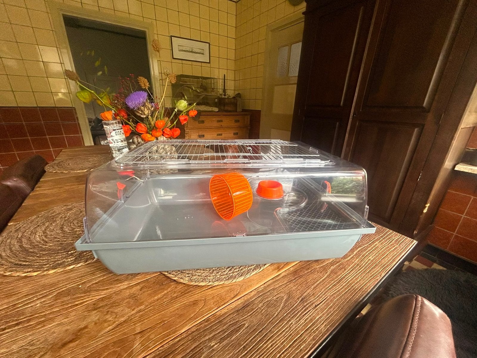 Mooie knaagdieren kooi, Dieren en Toebehoren, Kooi, Minder dan 75 cm, Zo goed als nieuw, Hamster