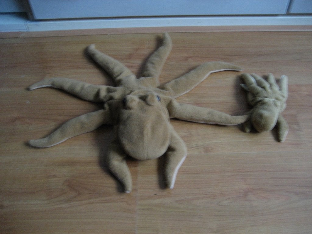 set van 2 octopus knuffels, Ophalen of Verzenden, Zo goed als nieuw, Overige typen