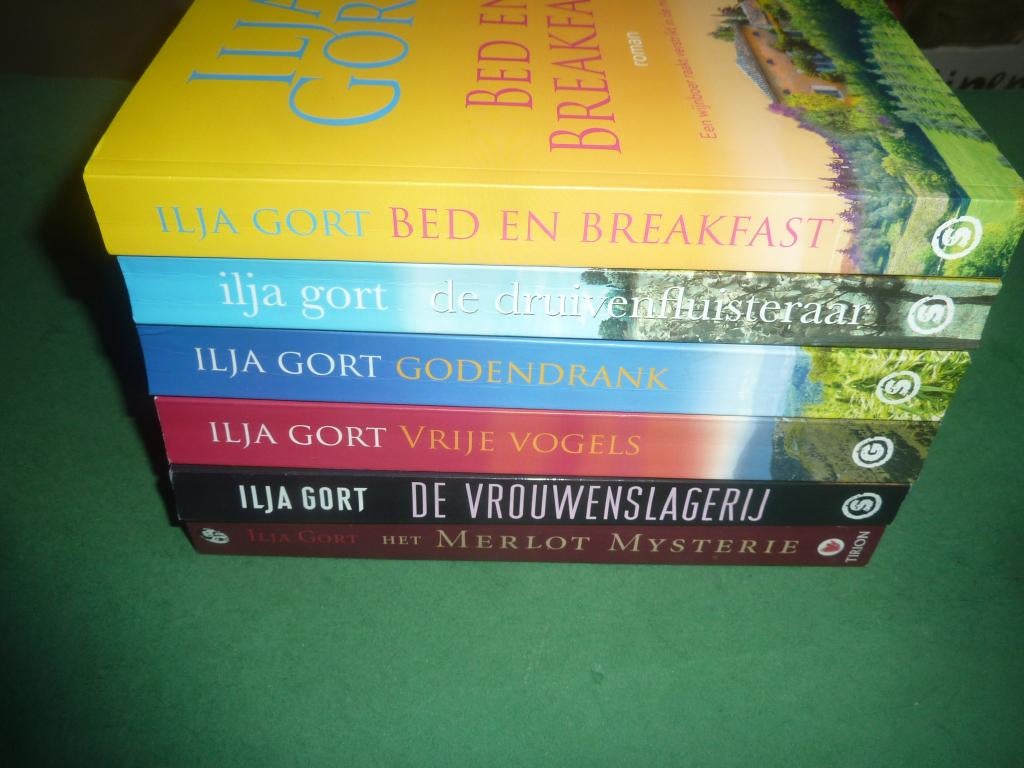Ilja Gort 6 boeken, Verzenden, Zo goed als nieuw, Ilja Gort, Nederland