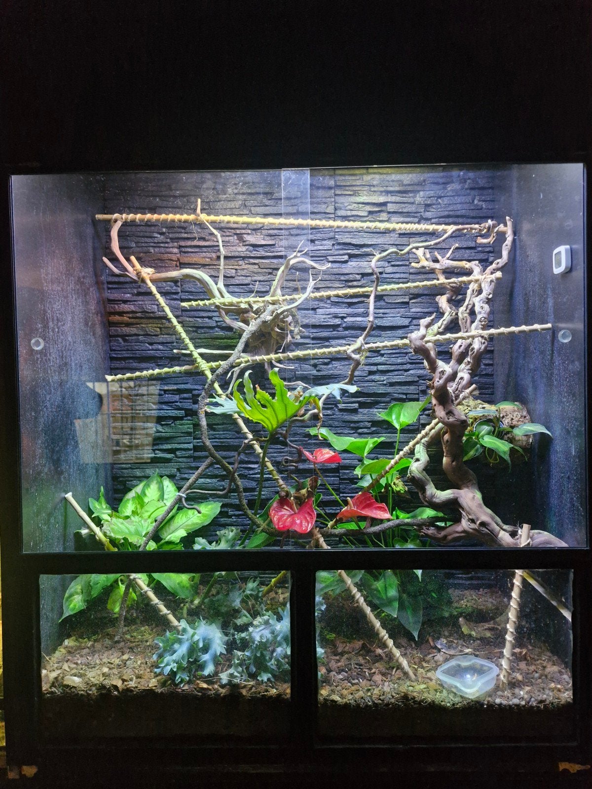 Terrarium, Dieren en Toebehoren, Reptielen en Amfibieën | Toebehoren, Ophalen