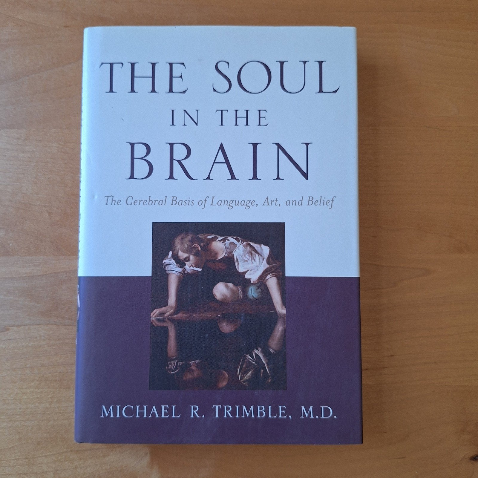 The Soul in the Brain - Michael R. Trimble, Boeken, Ophalen of Verzenden, Zo goed als nieuw, Michael R. Trimble, Geesteswetenschap