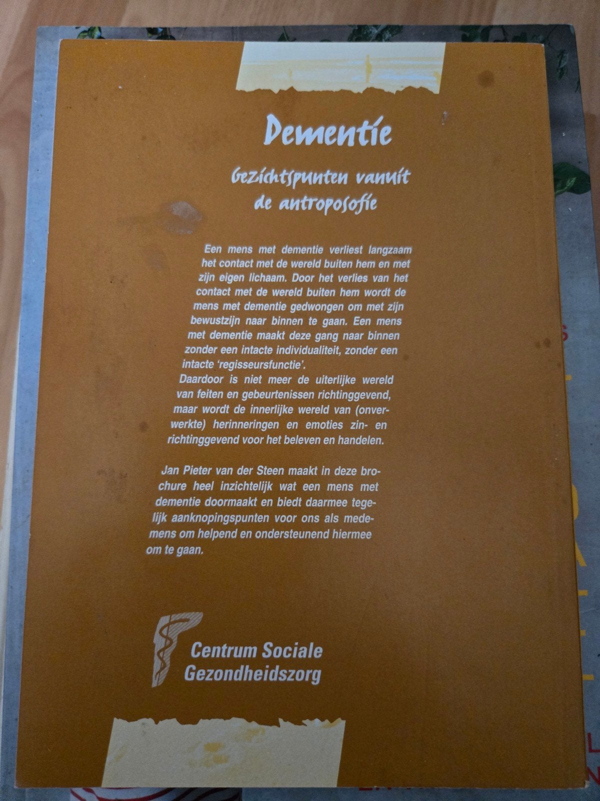 Dementie: Gezichtspunten vanuit de antroposofie, Boeken, Ophalen of Verzenden, Zo goed als nieuw, Jan Pieter van der Steen