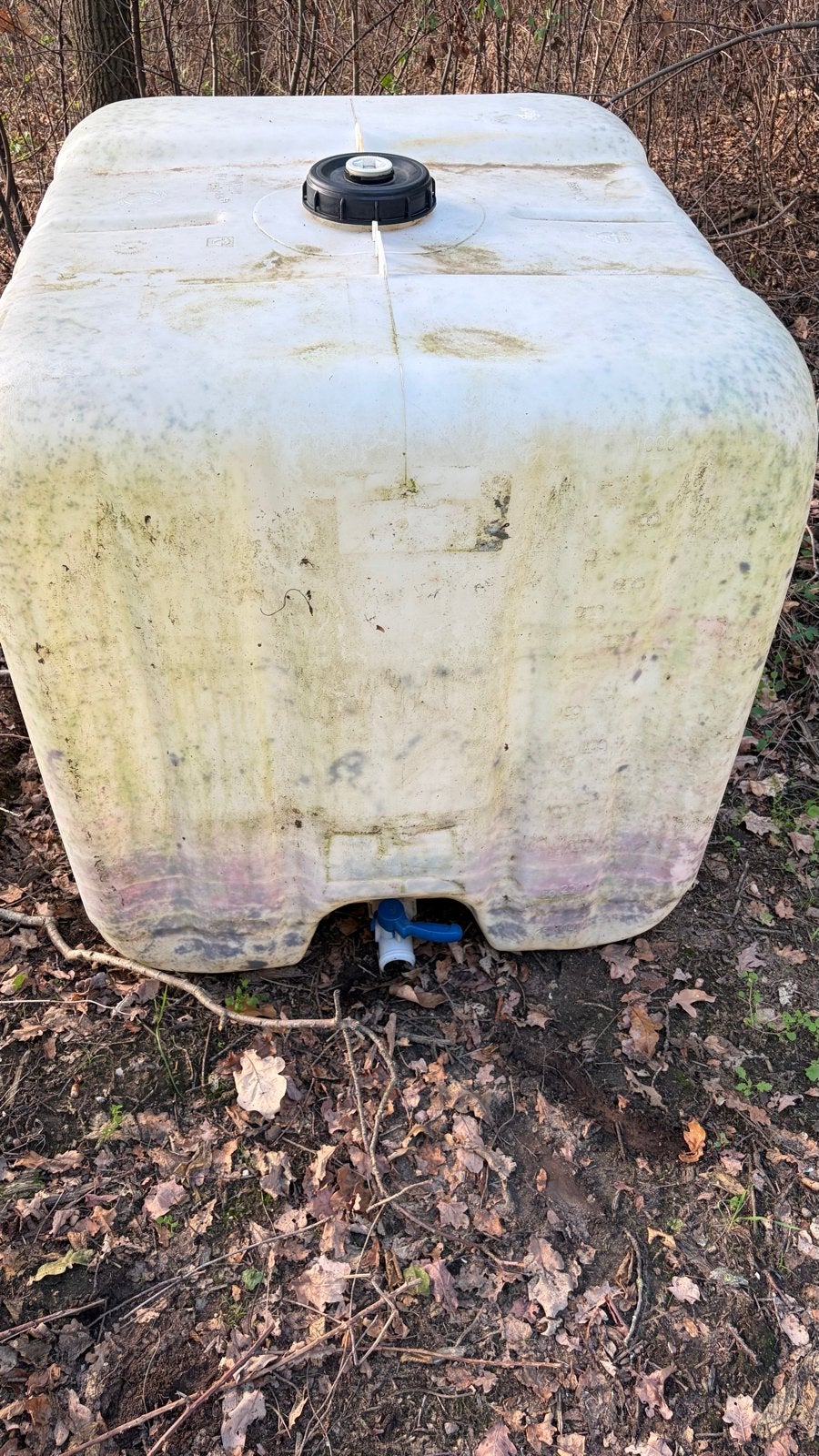 Lege IBC container - ideaal voor wateropvang of voerbak, Kunststof, Gebruikt, Met kraantje, 150 liter of meer
