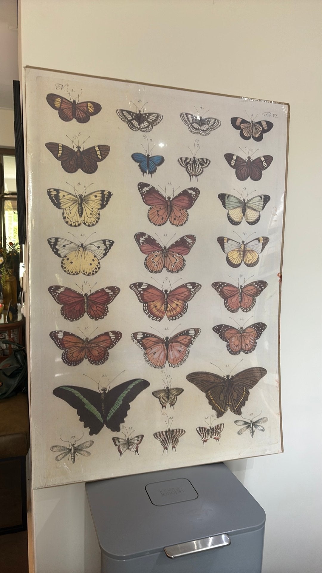 Vlinder poster Ikea, Ophalen of Verzenden, Zo goed als nieuw, A1 t/m A3