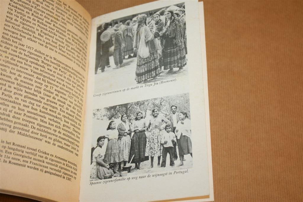 Ontmoetingen met zigeuners - Wina Born, Ophalen of Verzenden, Gelezen, Europa