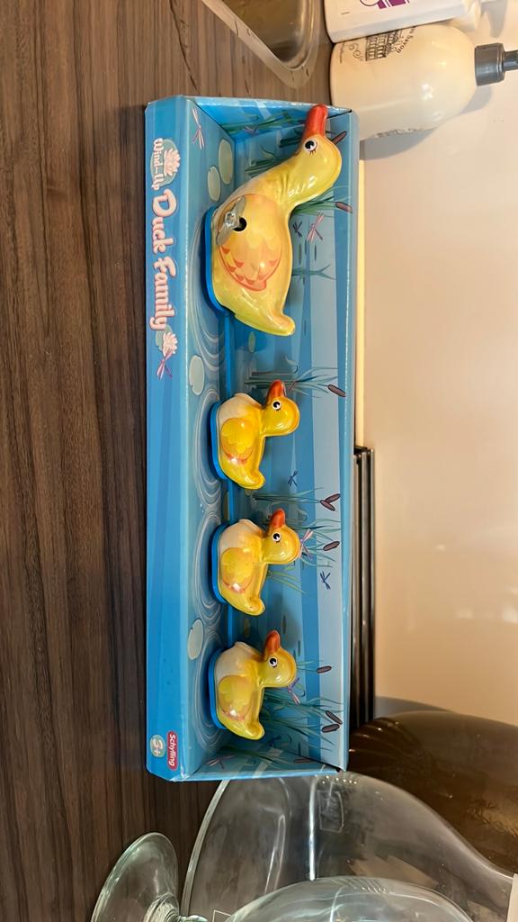 Wind up speelgoed eendjes, Ophalen of Verzenden, Nieuw