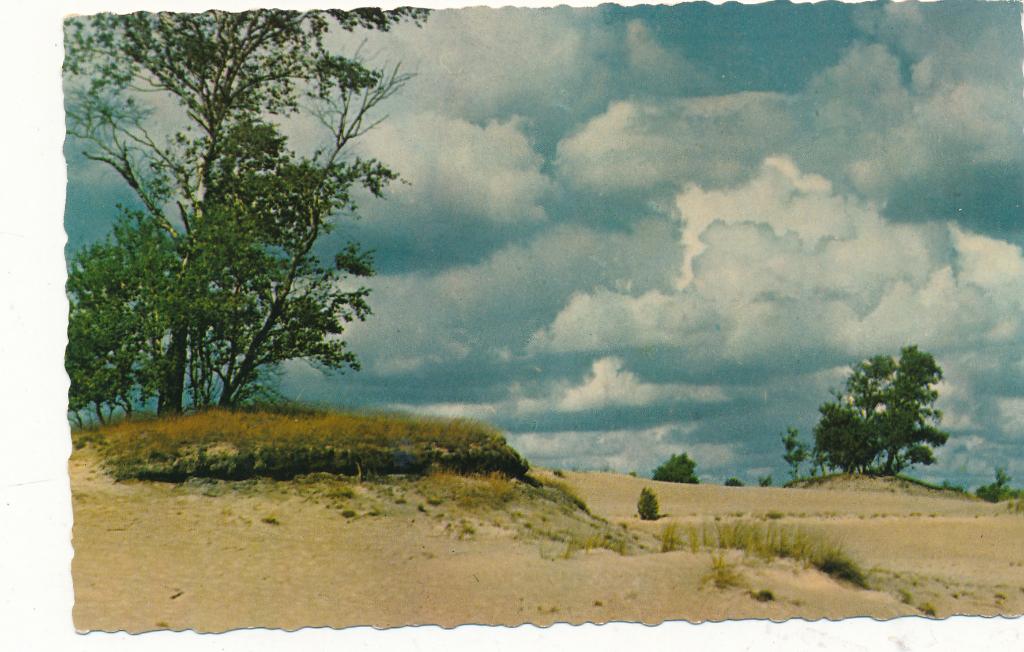 9802 Groeten uit Otterlo, Ophalen of Verzenden, 1940 tot 1960, Gelderland
