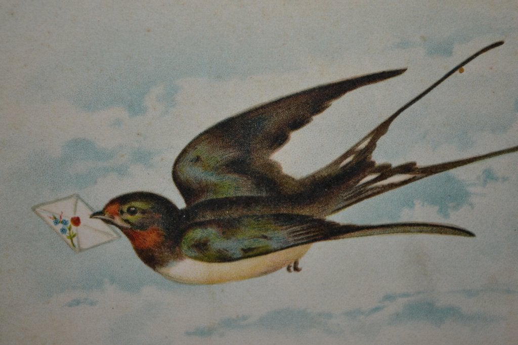 FRANKRIJK 1910 VOGEL ZWALUW MET BRIEF, Ophalen of Verzenden, Voor 1920, Ongelopen, Sterren en Beroemdheden