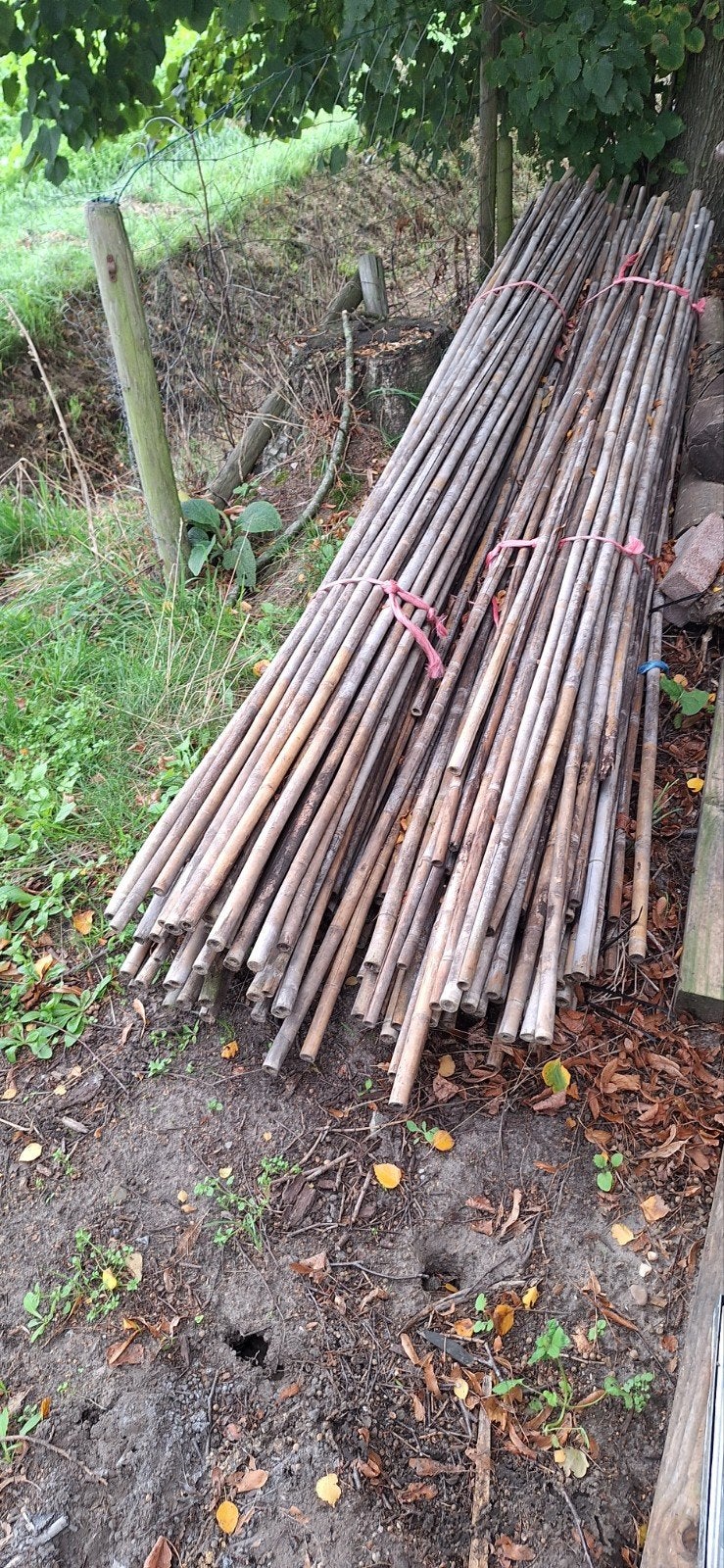 bamboe stoken, Ophalen, Gebruikt, 180 tot 250 cm, Overige typen