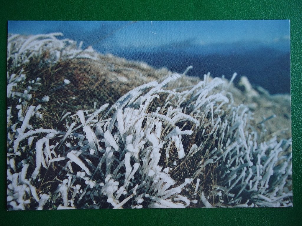 (1034) Kaart: FRANKRIJK / Mount Ventoux, Verzenden, 1980 tot heden, Gelopen, Frankrijk