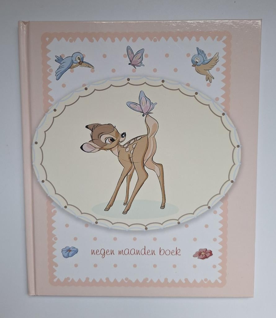 Bambi negen maanden boek.
Nieuw, Gevondenengemaakt@gmail.com, Disney, Nieuw, Ophalen of Verzenden