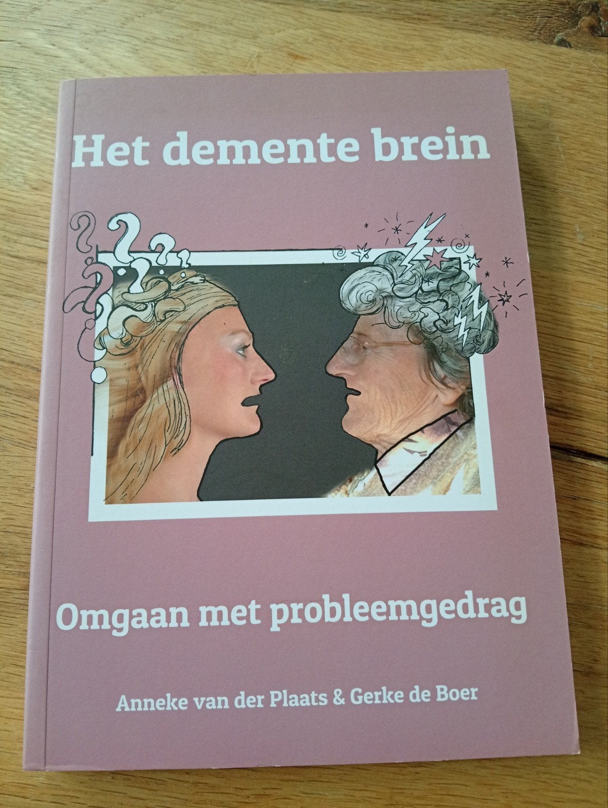 Het demente brein: Omgaan met probleemgedrag, Ophalen of Verzenden, Zo goed als nieuw, Anneke van der Plaats & Gerke de Boer