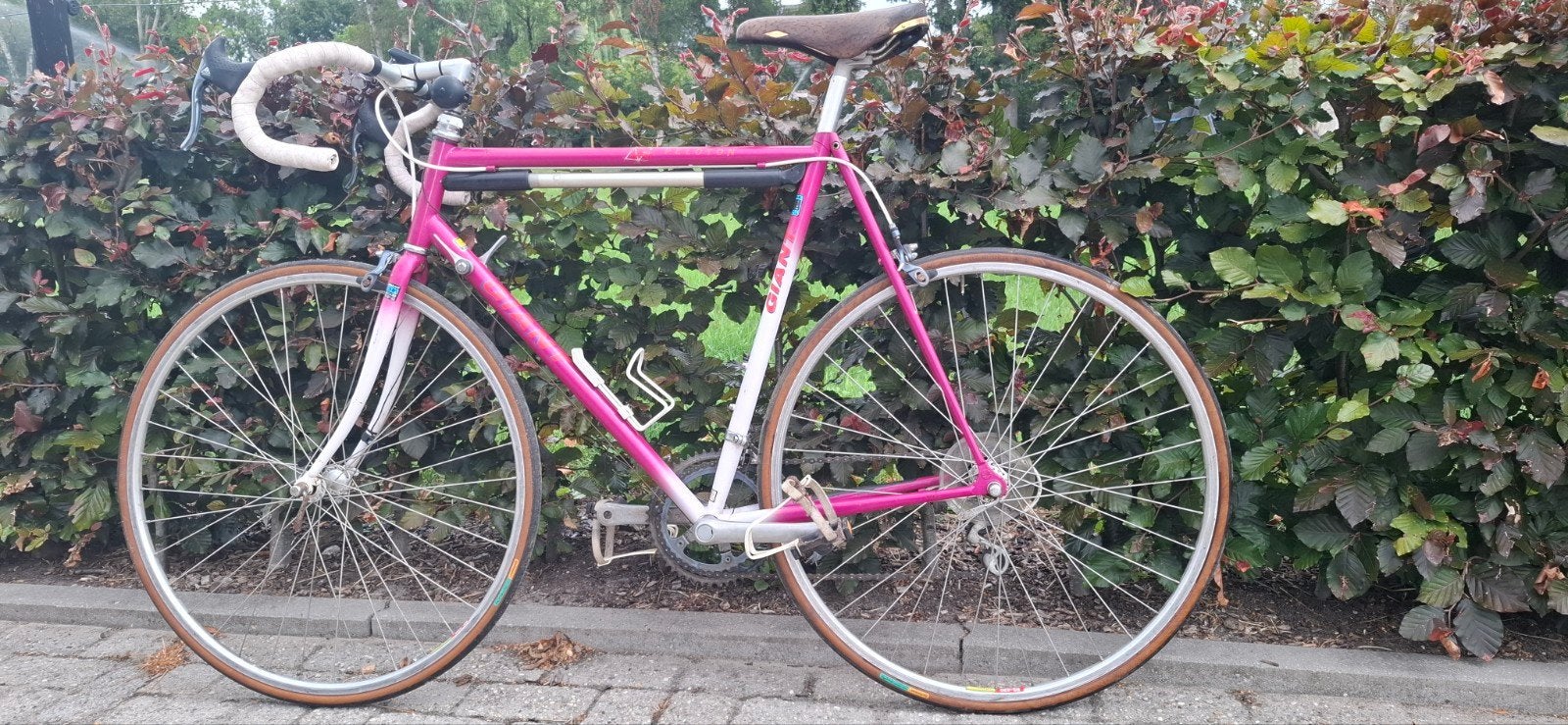 Racefiets Giant, Fietsen en Brommers, Fietsen | Racefietsen, Ophalen, 28 inch, Gebruikt, 10 tot 15 versnellingen
