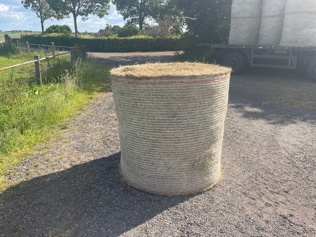 Hooi superdroog en onkruidvrij., Ophalen of Verzenden, Zo goed als nieuw, Rond, Minder dan 30 cm