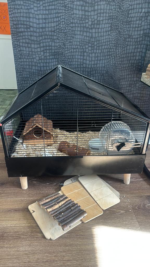 Hamsterkooi met benodigdheden!, Minder dan 60 cm, Kooi, Minder dan 75 cm, Ophalen of Verzenden