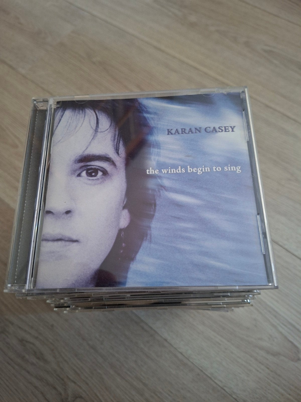 Karan Casey - The Winds Begin To Sing, Ophalen of Verzenden, Zo goed als nieuw