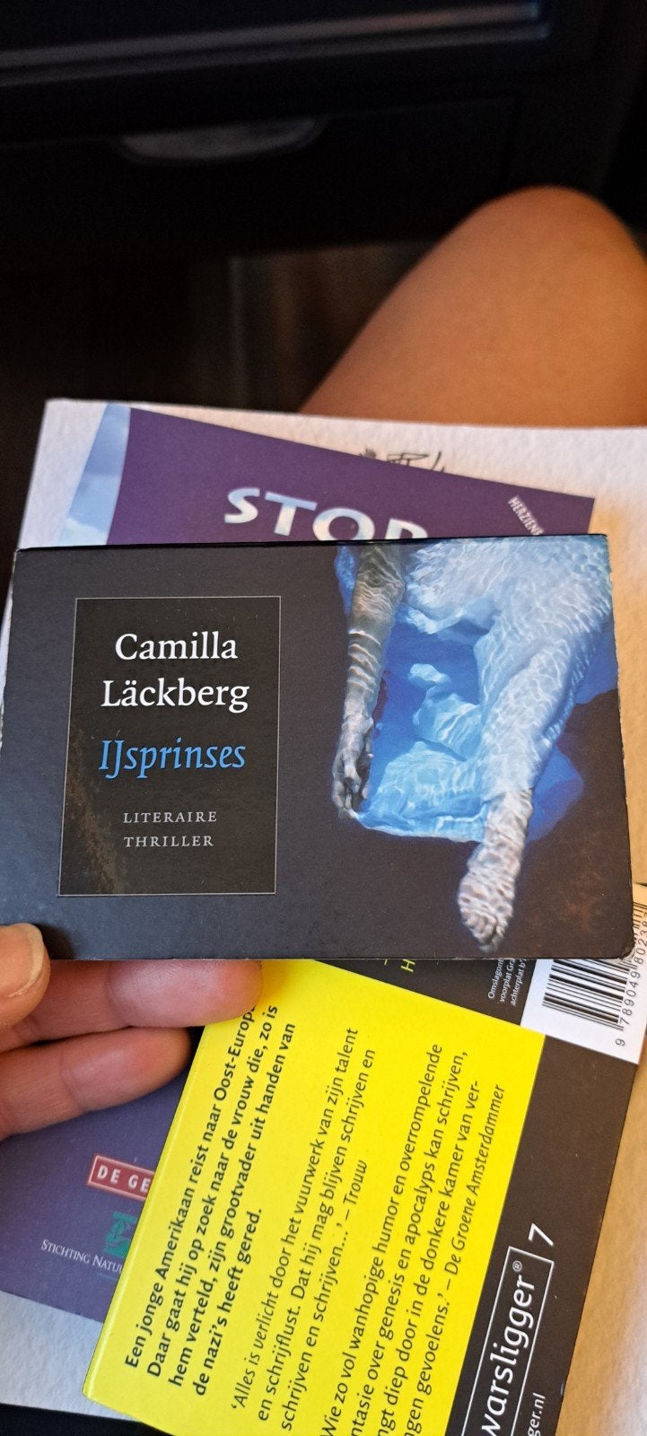 Camilla Läckberg - IJsprinses (dwarsligger), Ophalen of Verzenden, Zo goed als nieuw, Camilla Läckberg, Scandinavië