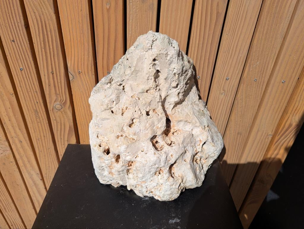 Maansteen moonstone decoratie aquarium te koop verschillende, Ophalen of Verzenden, Nieuw, Minder dan 1 meter, Parasolvoet