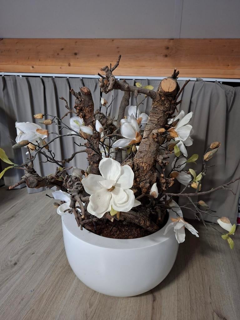 Decoratieve Magnolia Bloesem in Witte Pot, Huis en Inrichting, Woonaccessoires | Kunstplanten en Kunstbloemen, Ophalen of Verzenden