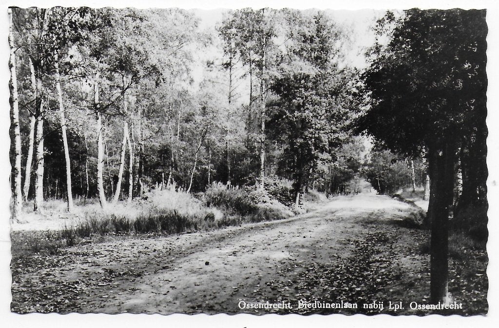 Ossendrecht Bieduinenlaan Ansichtkaart ( B6905 ), Ophalen of Verzenden, 1960 tot 1980, Gelopen