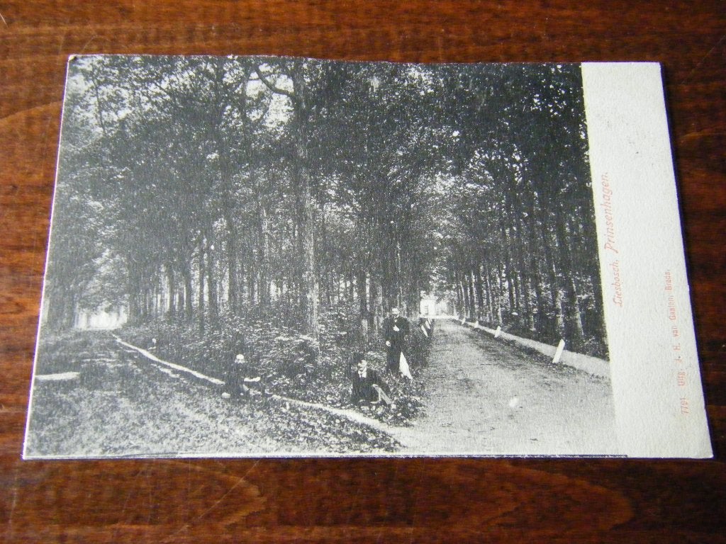 Q38 - Breda / Princenhage - Liesbosch - Mooi/Oud, Ophalen of Verzenden, Voor 1920, Noord-Brabant