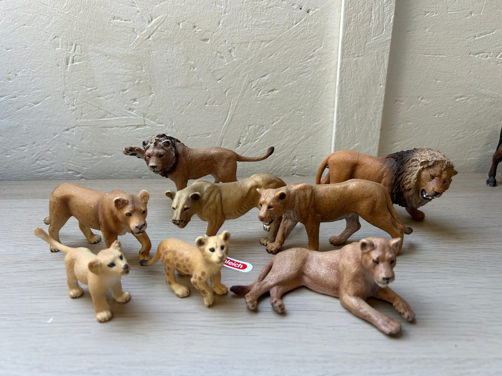 Schleich leeuwen, Ophalen of Verzenden, Zo goed als nieuw, Paard, Beeldje of Figuurtje