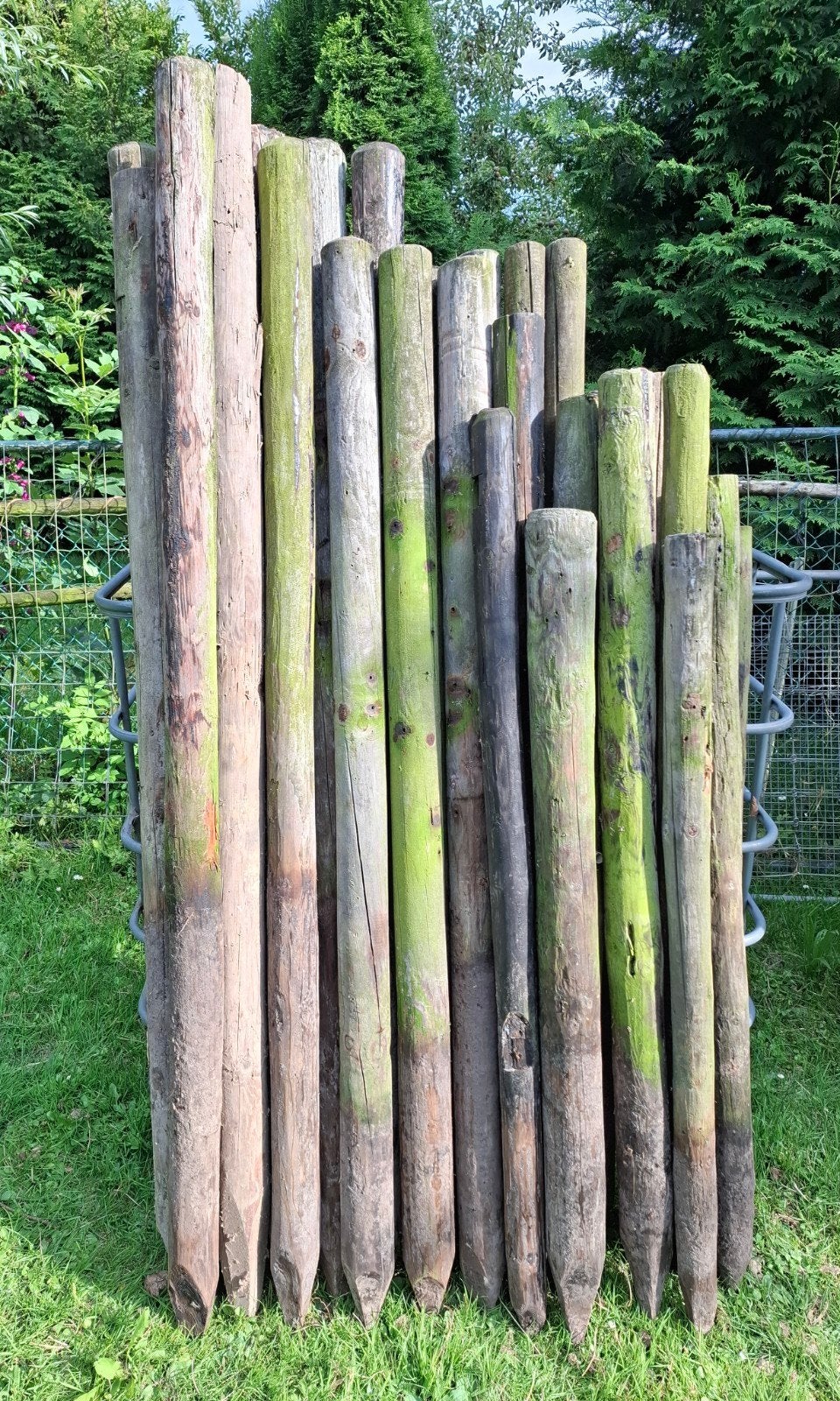 Afrasterings palen, Tuin en Terras, Palen, Balken en Planken, Ophalen, Gebruikt, Minder dan 180 cm, Palen