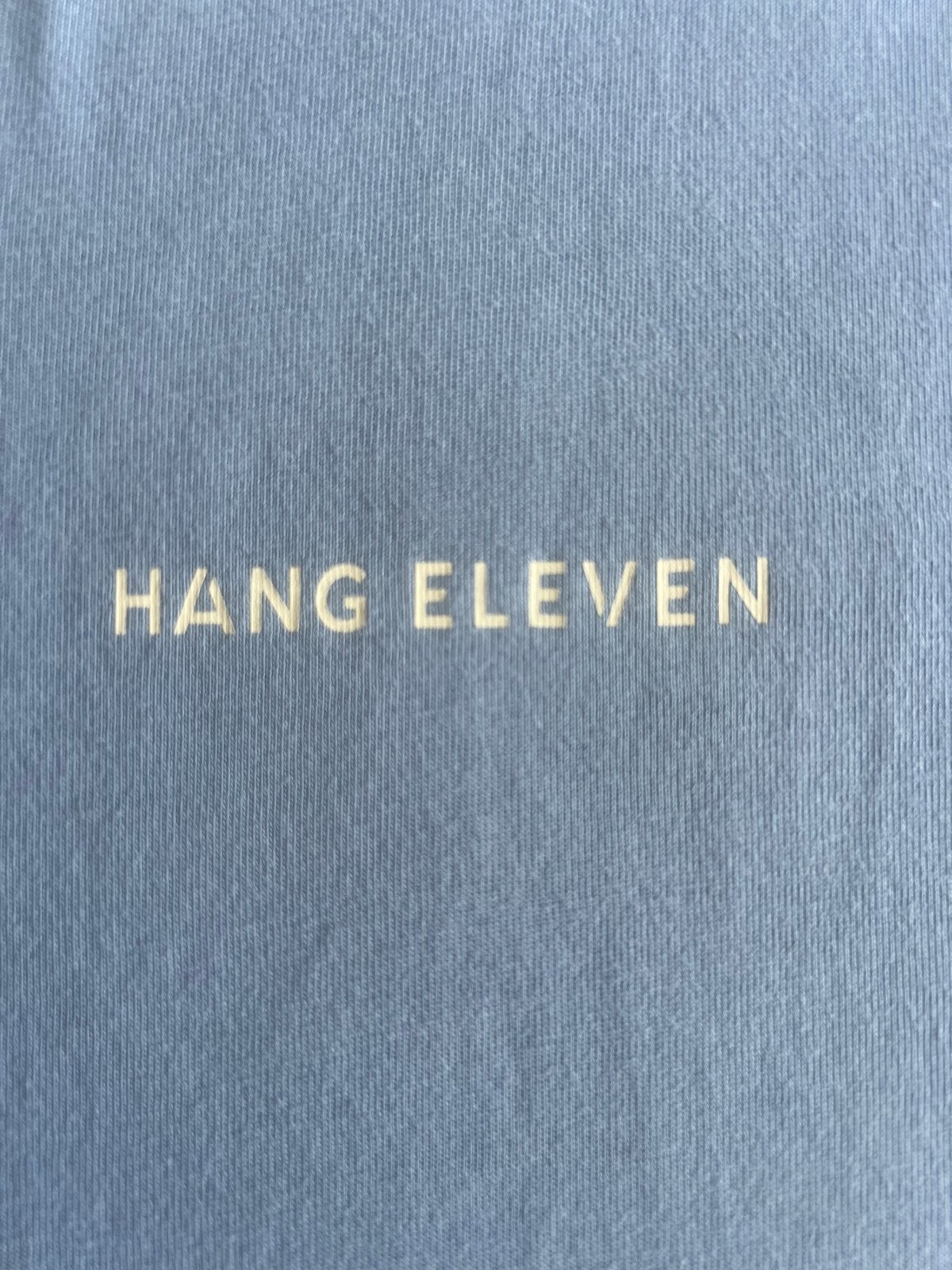 Hang Eleven T-shirt - Maat M - Ongedragen, Ophalen of Verzenden, Zo goed als nieuw, Maat 48/50 (M), Blauw