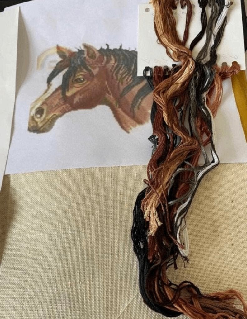 BORDUURPAKKET EVA ROSENSTAND PAARDENHOOFD, Verzenden, Nieuw, Borduurpakket
