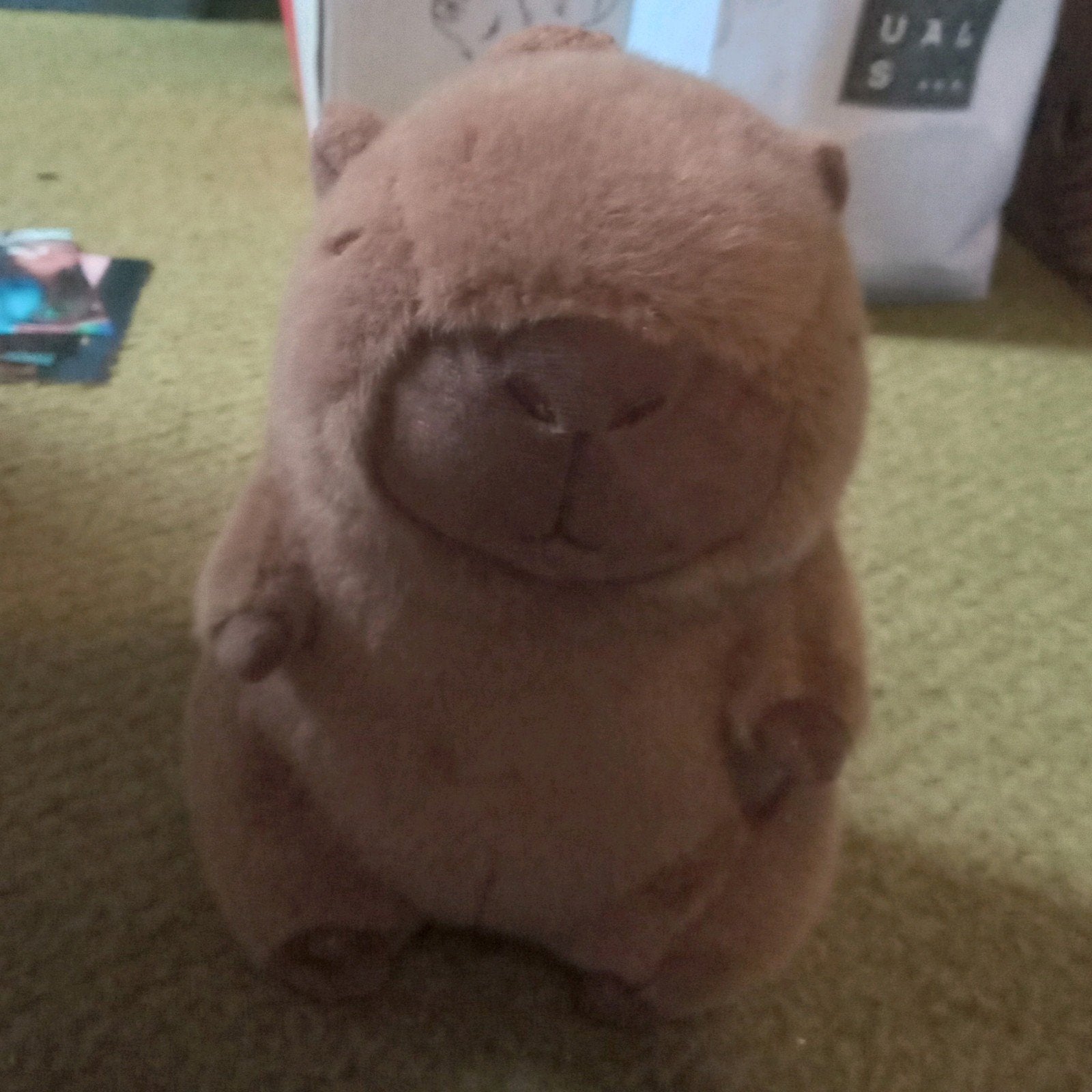Schattige Capybara Knuffel - Zo goed als nieuw, Ophalen, Overige merken, Overige karakters, Overige typen