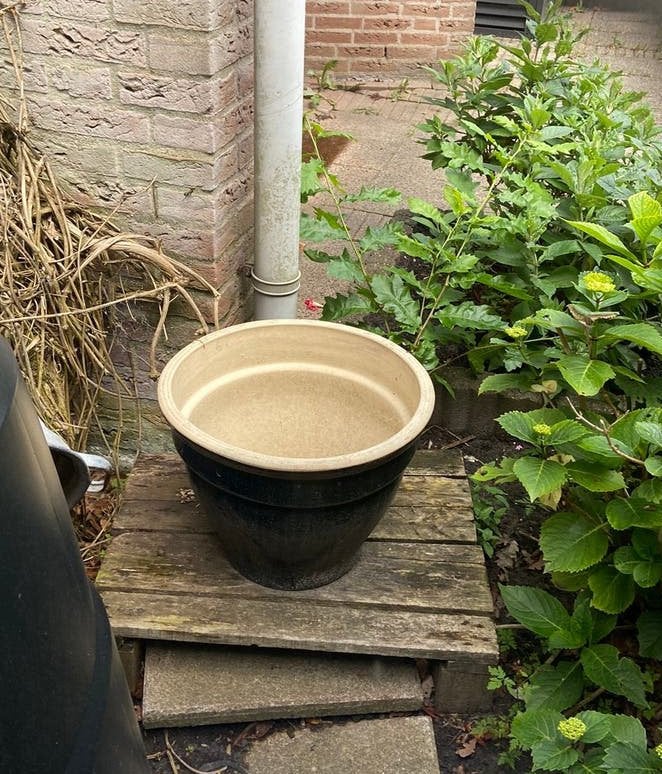 Geglazuurde blauwe pot grote terracotta bloempot intratuin, Ophalen, Zo goed als nieuw, Rond, Steen