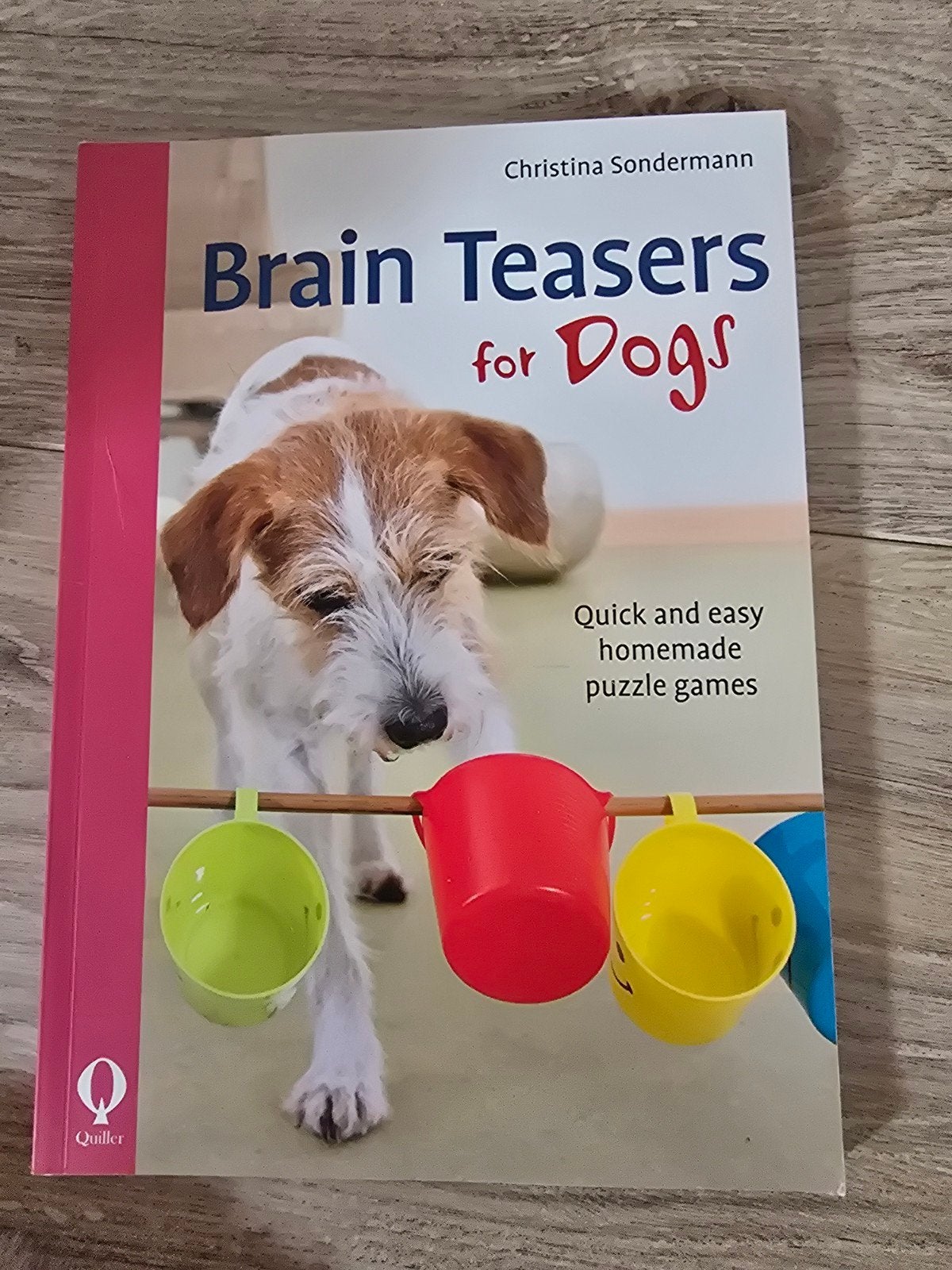 Brain Teasers for Dogs: Puzzelspellen voor Honden, Ophalen of Verzenden, Zo goed als nieuw, Honden, Christina Sondermann