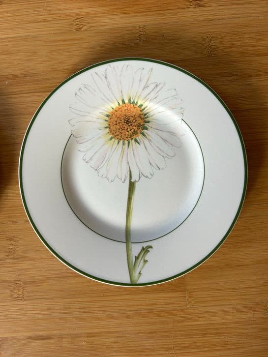 Villeroy & Boch Flora Margriet bord, 22 cm, per stuk, Ophalen of Verzenden, Zo goed als nieuw, Porselein, Bord(en)
