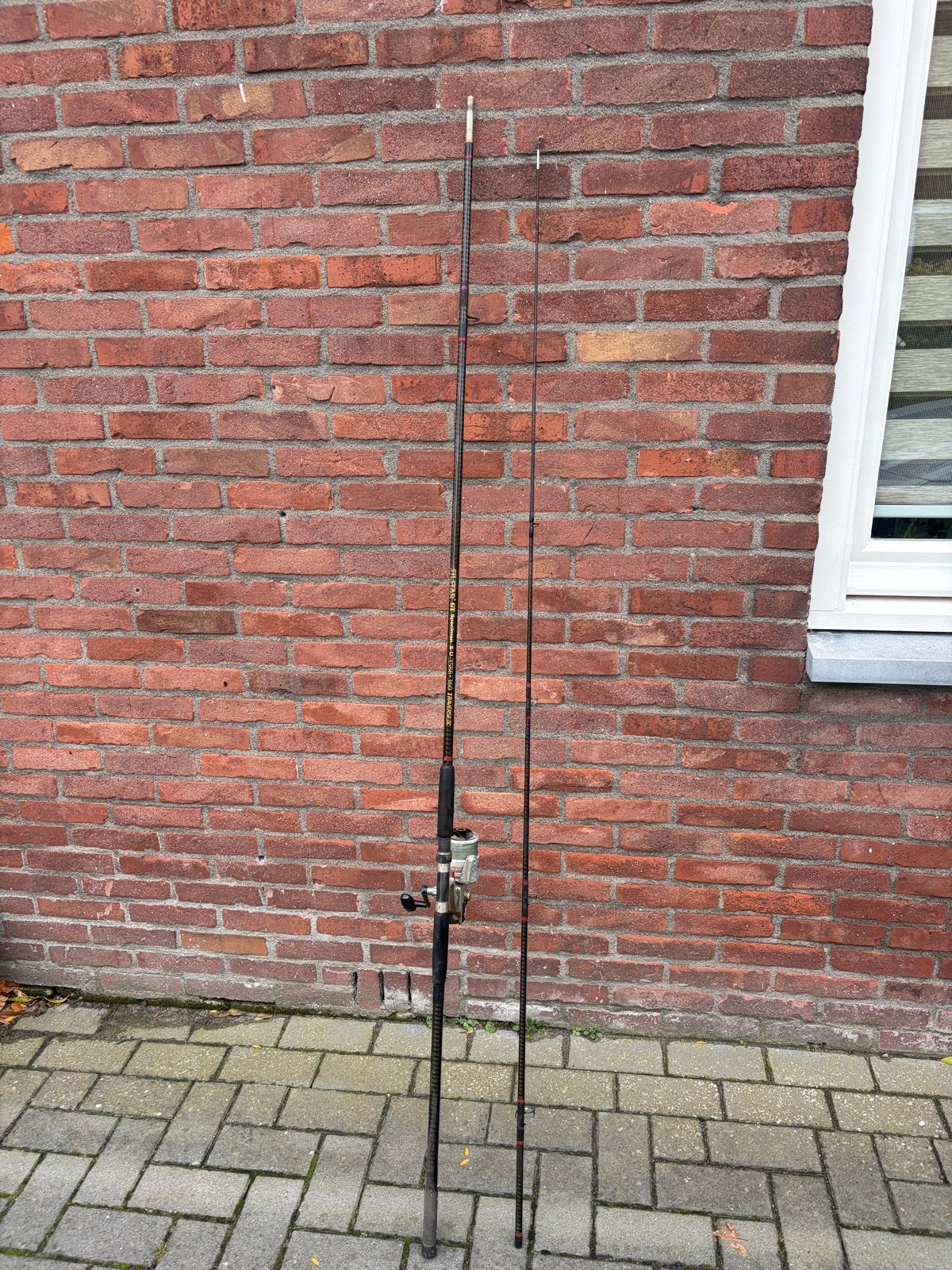 Vishengel Silstar GT Specimen met Daiwa 7000C molen, Ophalen, Gebruikt, Complete hengel