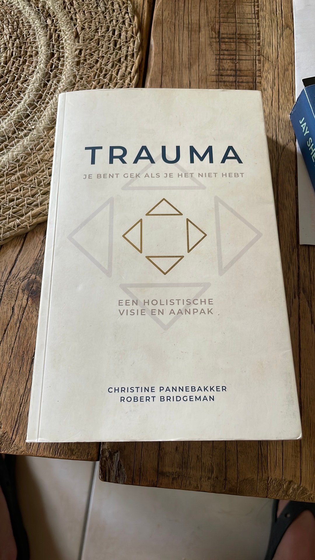 Robert Bridgeman - Trauma, je bent gek als je het niet hebt, Boeken, Ophalen of Verzenden, Gelezen, Robert Bridgeman; Christine Pannebakker