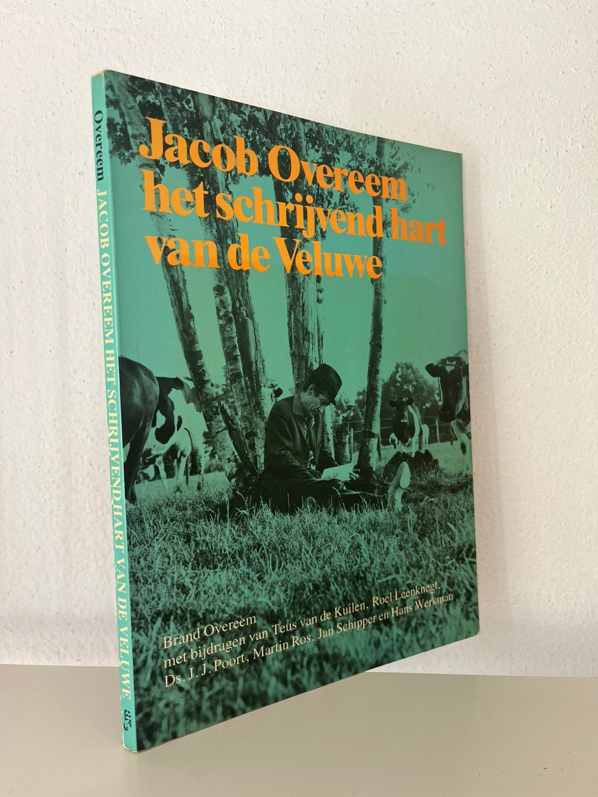 Het schrijvend hart van de Veluwe - Jacob Overeem, Ophalen of Verzenden, Zo goed als nieuw