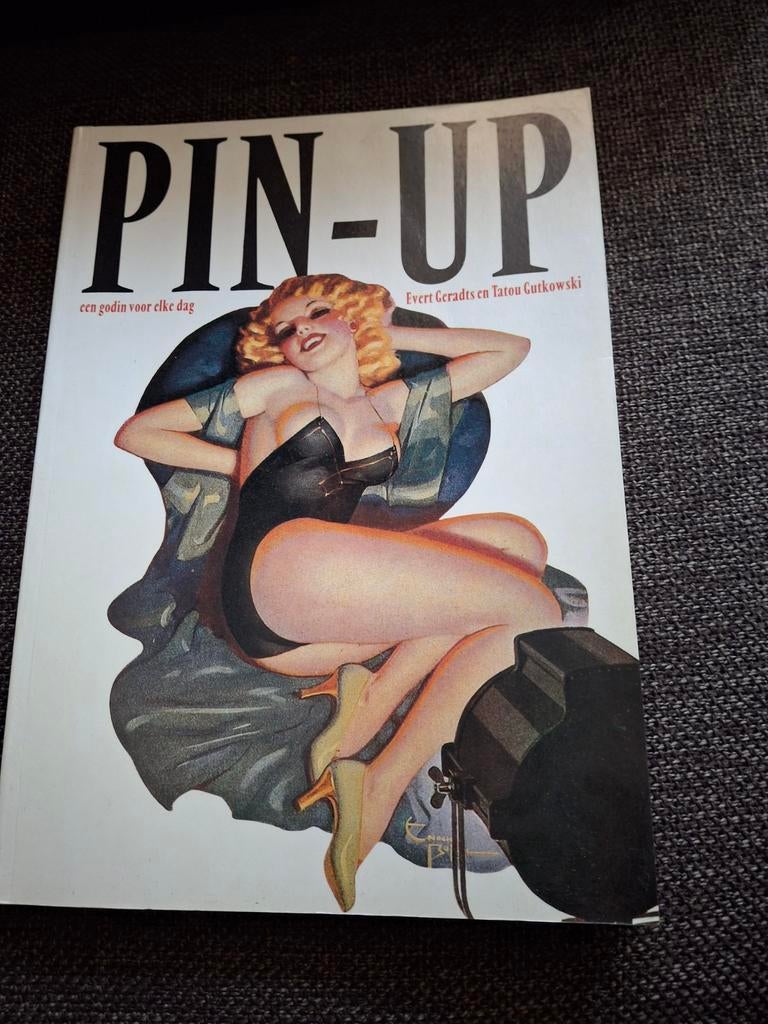 Pin up een godin voor elke dag Evert Geradts 1987, Boeken, Ophalen of Verzenden, Zo goed als nieuw, Overige onderwerpen