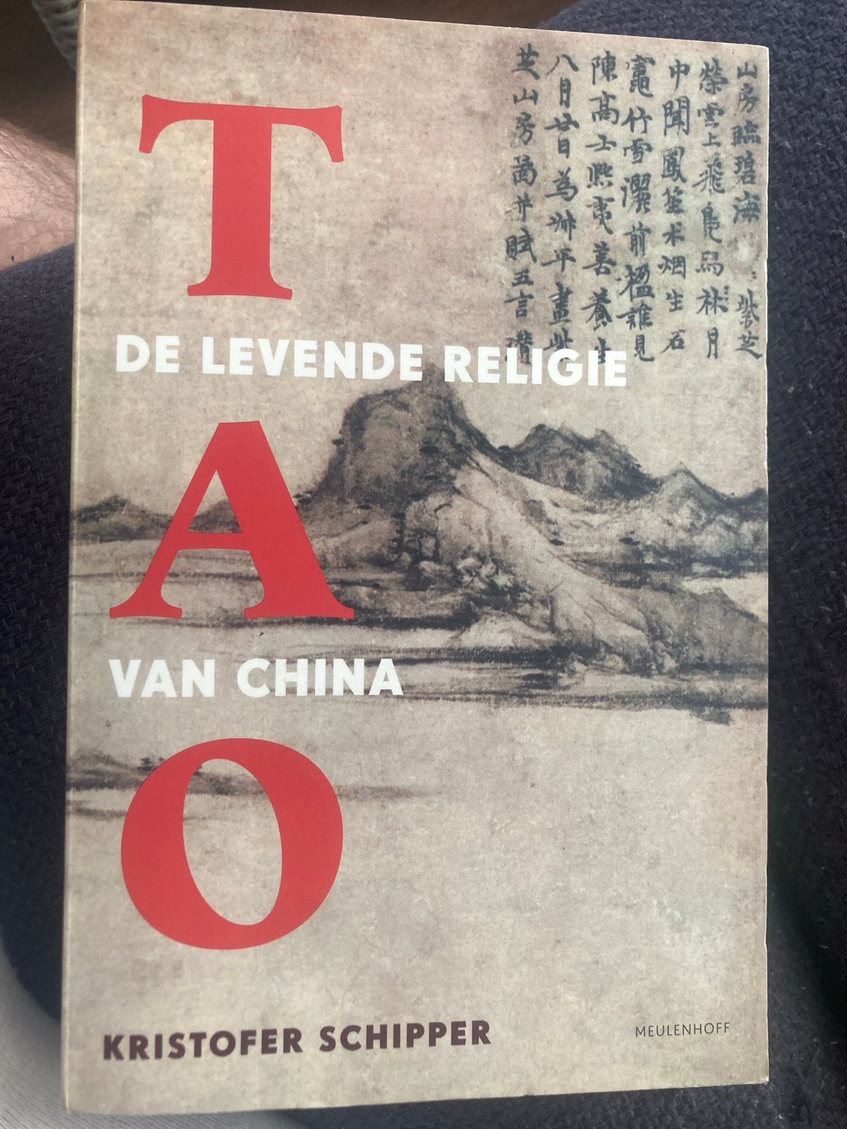 Tao: De Levende Religie van China - Kristofer Schipper, Ophalen of Verzenden, Zo goed als nieuw, Spiritualiteit algemeen, Achtergrond en Informatie
