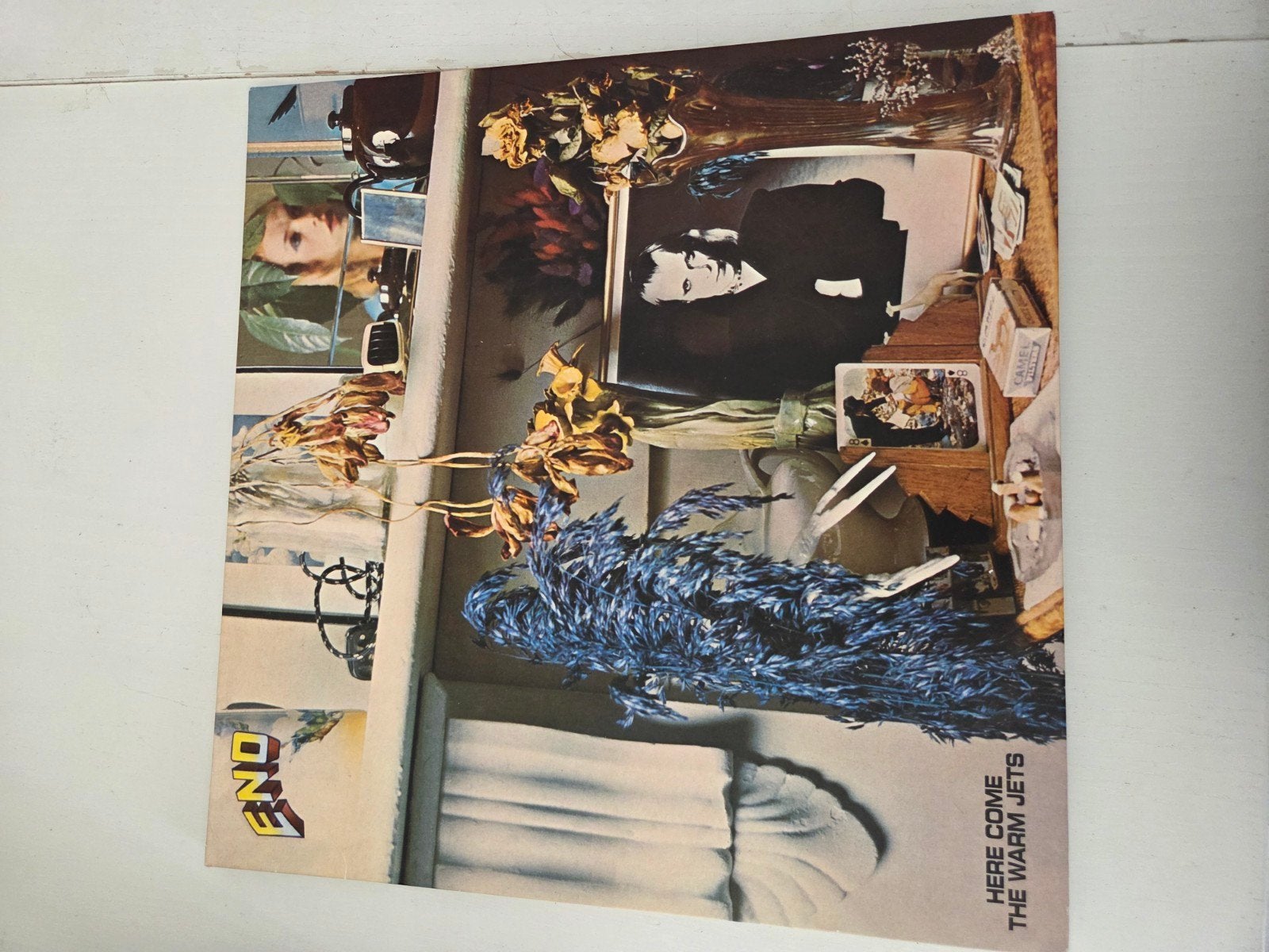 Brian Eno - Here Come The Warm Jets (LP), Ophalen of Verzenden, Gebruikt, 12 inch