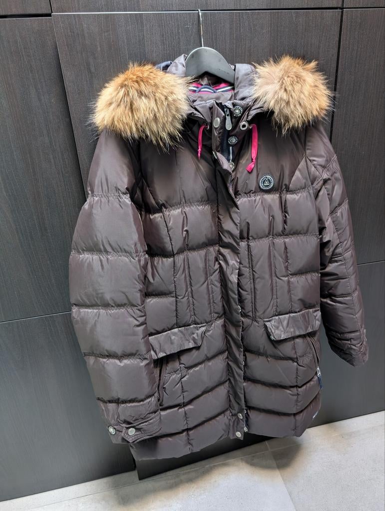Gaastra dames winterjas, Gaastra, Bruin, Gedragen, Ophalen