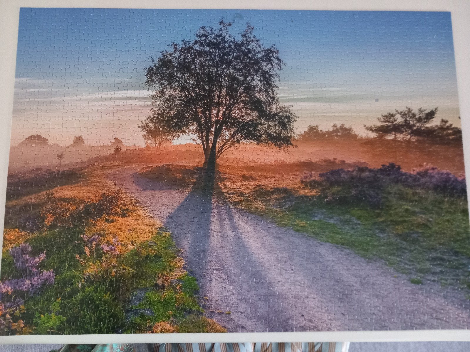 mooie puzzel Veluwe, boom, heide 1000 stukjes, Hobby en Vrije tijd, Ophalen of Verzenden, 500 t/m 1500 stukjes, Gebruikt