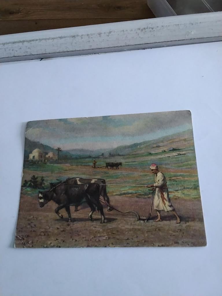 EEN PLOEGER IN PALESTINA, Ophalen of Verzenden, Voor 1920, Overige thema's