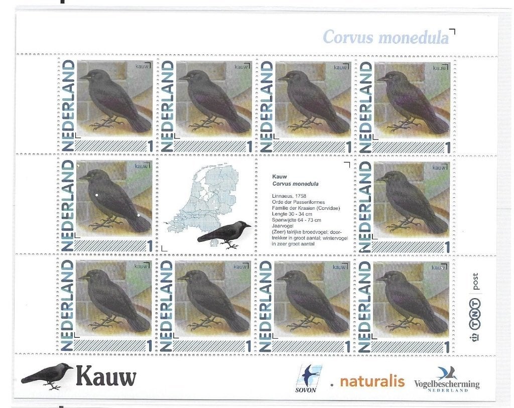 Vel persoonlijke zegels, Vogels Kauw, postfris, Ophalen of Verzenden, Postfris