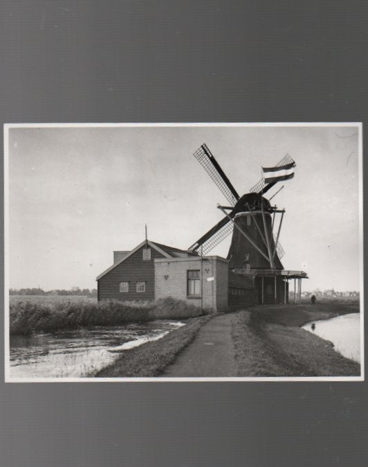 Zaandam Kalverringdijk Molen het Zwarte Kalf 2 foto's, Ophalen of Verzenden, 1920 tot 1940, Ongelopen, Noord-Holland