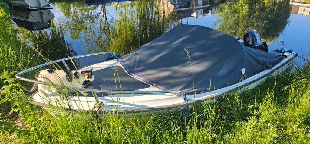 Consoleboot met Suzuki buitenboordmotor, Watersport en Boten, Ophalen, Overige merken, Gebruikt, Afdekzeil